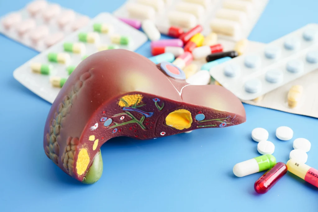 Liver and Kidney Health